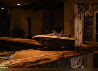 Exclusive riding estate in the Vosges