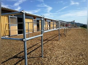 Exclusive riding estate with Alpine panorama – a horse paradise with great potential V13084