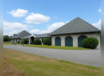 Exclusive riding facility near Düsseldorf, Germany