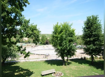 Exclusive riding facility with a recently renovated main house, indoor riding arena, and spacious pa