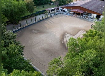 Exclusive riding facility with a recently renovated main house, indoor riding arena, and spacious pa