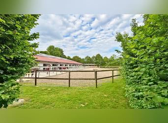 Exclusive riding facility with a spacious residence and versatile usage options in Bielefeld