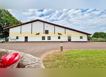 Exclusive riding facility with a spacious residence and versatile usage options in Bielefeld
