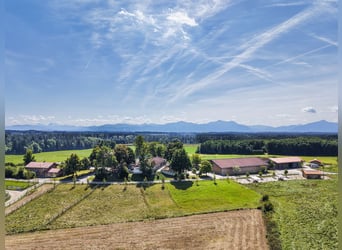 Exklusiver Pferdebetrieb im Chiemgau - PREIS AUF ANFRAGE