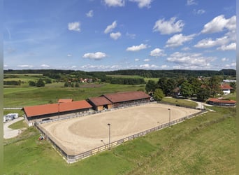 Exklusiver Pferdebetrieb im Chiemgau - PREIS AUF ANFRAGE