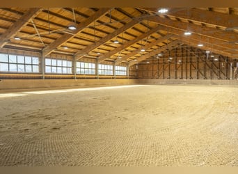 Exklusiver Pferdebetrieb im Chiemgau - PREIS AUF ANFRAGE