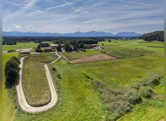Exklusiver Pferdebetrieb im Chiemgau - PREIS AUF ANFRAGE