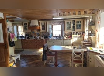 Exklusives Anwesen in Alleinlage mit Pferdehaltung