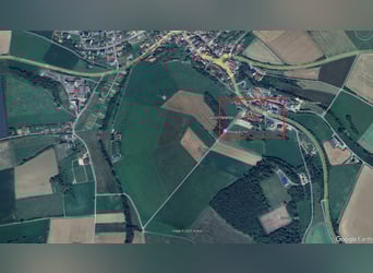 Exklusives Anwesen mit Wohnhaus, Reitanlage, Werkstatt und Photovoltaik – Sofort bezugsfertig 