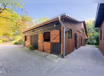 Exklusives Reitsportanwesen nahe Hamburg - 43 Hektar & neue Reithalle!