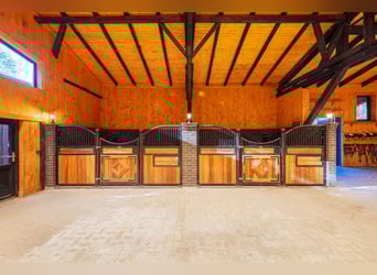 Exklusives Reitsportanwesen nahe Hamburg - 43 Hektar & neue Reithalle!