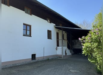 Farm with horse stabling, 6.2 acres of land, near Munich