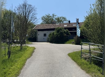 Farm with horse stabling, 6.2 acres of land, near Munich