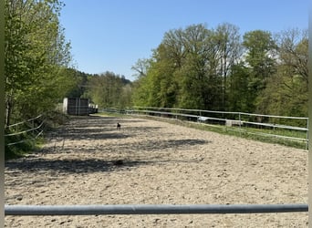 Farm with horse stabling, 6.2 acres of land, near Munich