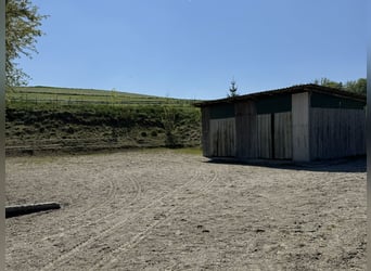 Farm with horse stabling, 6.2 acres of land, near Munich