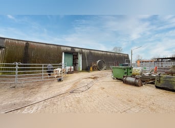 Farm with riding arena, stabling facilities, and extensive leasehold land in Linnich