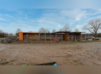 Farm with riding arena, stabling facilities, and extensive leasehold land in Linnich