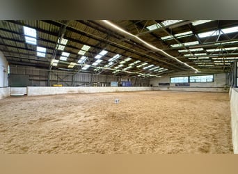 Farm with riding arena, stabling facilities, and extensive leasehold land in Linnich