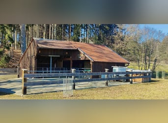Farmhouse/Farm for sale in the Allgäu region, secluded location with approximately 27 acres of meado