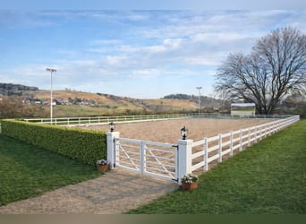 Farmstead with 47 hectares in the South Black Forest – ideal as an equestrian property