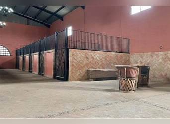 Finca De Ensueño De Más De 90 Ha Cerca De Sevilla