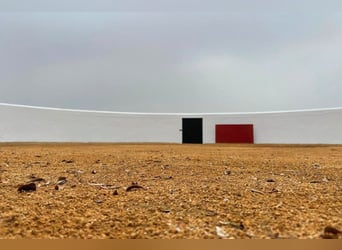 Finca De Ensueño De Más De 90 Ha Cerca De Sevilla