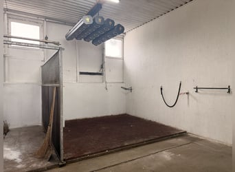 FOR RENT: Stable block with 12 boxes and numerous amenities south of Berlin – suitable for a profess