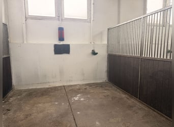 FOR RENT: Stable block with 12 boxes and numerous amenities south of Berlin – suitable for a profess