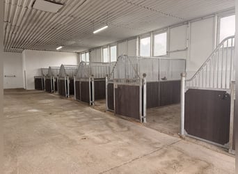 FOR RENT: Stable block with 12 boxes and numerous amenities south of Berlin – suitable for a profess
