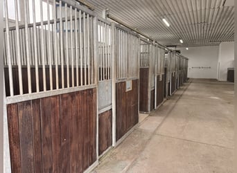 FOR RENT: Stable block with 12 boxes and numerous amenities south of Berlin – suitable for a profess