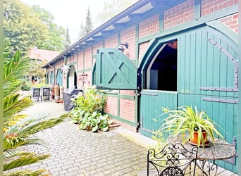 Four-in-Hand at Home: 17 acres equestrian estate with 4 stables, space for 4 carriages, pastures, wo
