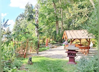 Four-in-Hand at Home: 17 acres equestrian estate with 4 stables, space for 4 carriages, pastures, wo