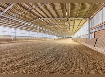 Gepflegte Reitanlage bei Hannover – inklusive Mehrfamilienhaus mit 4 Einheiten!