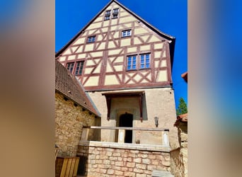 Graf & Gräfin gesucht -Romantik-Traum-Schloss mit arrondierten Ländereien - Pferde- & Event-Location