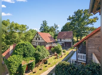 Hammer Preis – Exklusives Pferdeparadies mit zwei Wohnhäusern & Ranch-Feeling