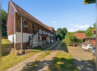 Hammer Preis – Exklusives Pferdeparadies mit zwei Wohnhäusern & Ranch-Feeling