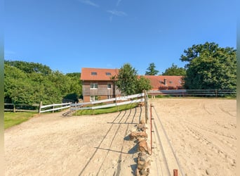 Hammer Preis – Exklusives Pferdeparadies mit zwei Wohnhäusern & Ranch-Feeling