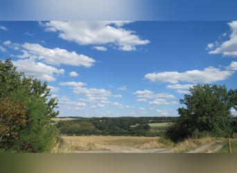 HAPPINESS has a HOME – Well-maintained riding stable and apartment at the village edge in Plauen / V