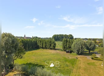 Hedendaagse villa met gezinstuin en graslanden op 7.496m2 te Heusden | België