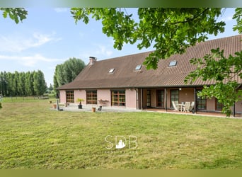 Hedendaagse villa met gezinstuin en graslanden op 7.496m2 te Heusden | België