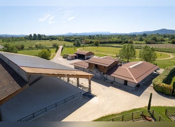 High-End Sports Stable