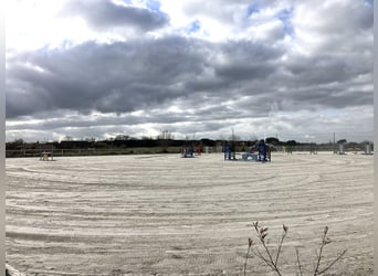 High-End Sports Stable