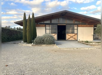 High-End Sports Stable