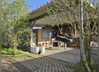 Highly profitable riding facility with ample land for species-appropriate horse keeping in a private