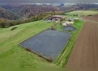 Highly profitable riding facility with ample land for species-appropriate horse keeping in a private