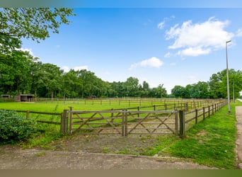 Hippisch complex met binnen- en buitenpiste