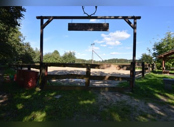 Historic estate with a park and private lake, perfect for nature and animal lovers!