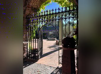 Historic estate with a park and private lake, perfect for nature and animal lovers!