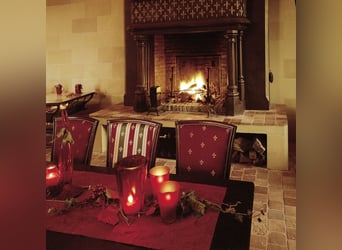 Historic estate with a park and private lake, perfect for nature and animal lovers!