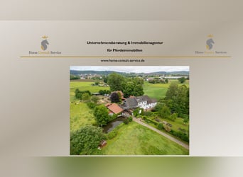 Historic mill estate in a secluded location with horsekeeping, water power, and attractive income op